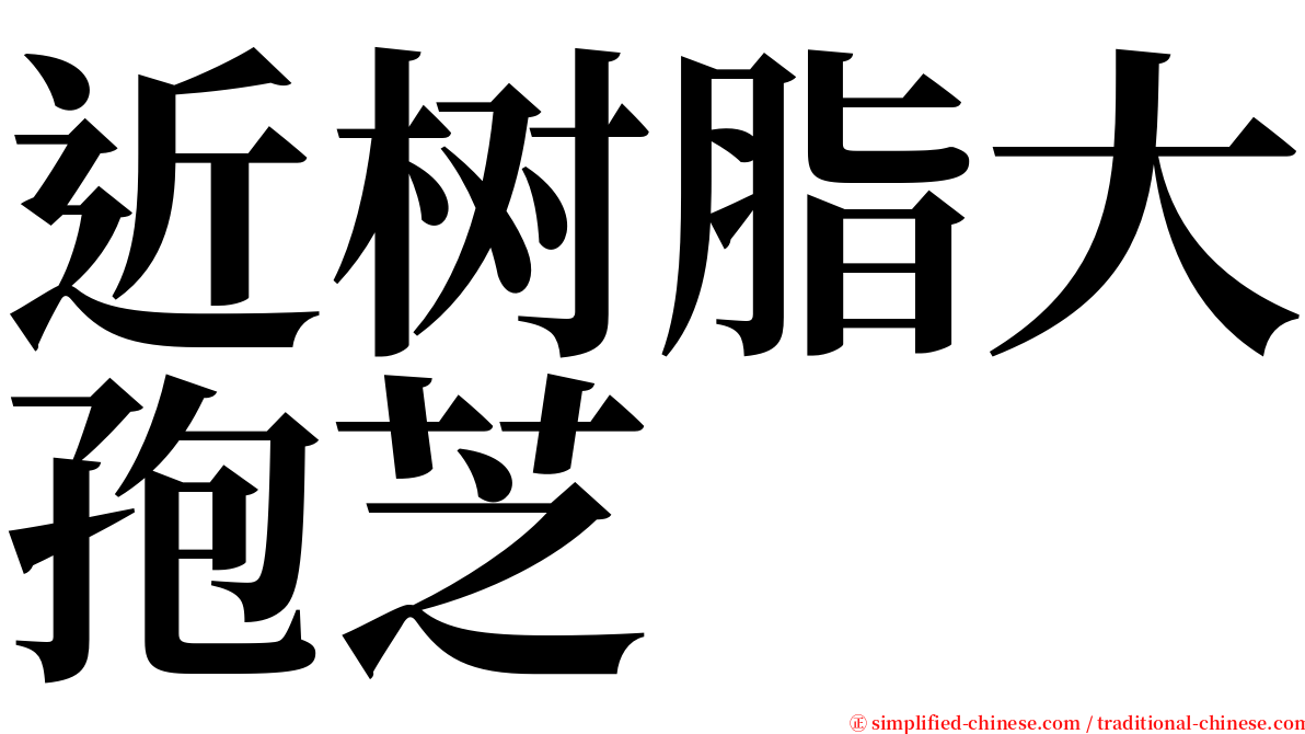 近树脂大孢芝 serif font