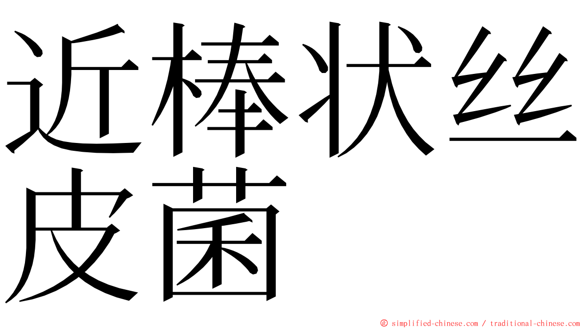 近棒状丝皮菌 ming font
