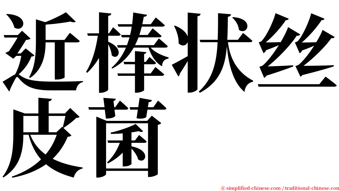 近棒状丝皮菌 serif font