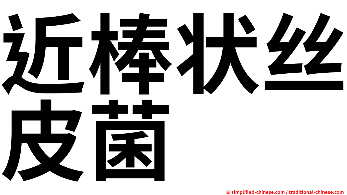 近棒状丝皮菌