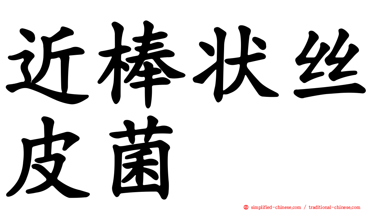 近棒状丝皮菌