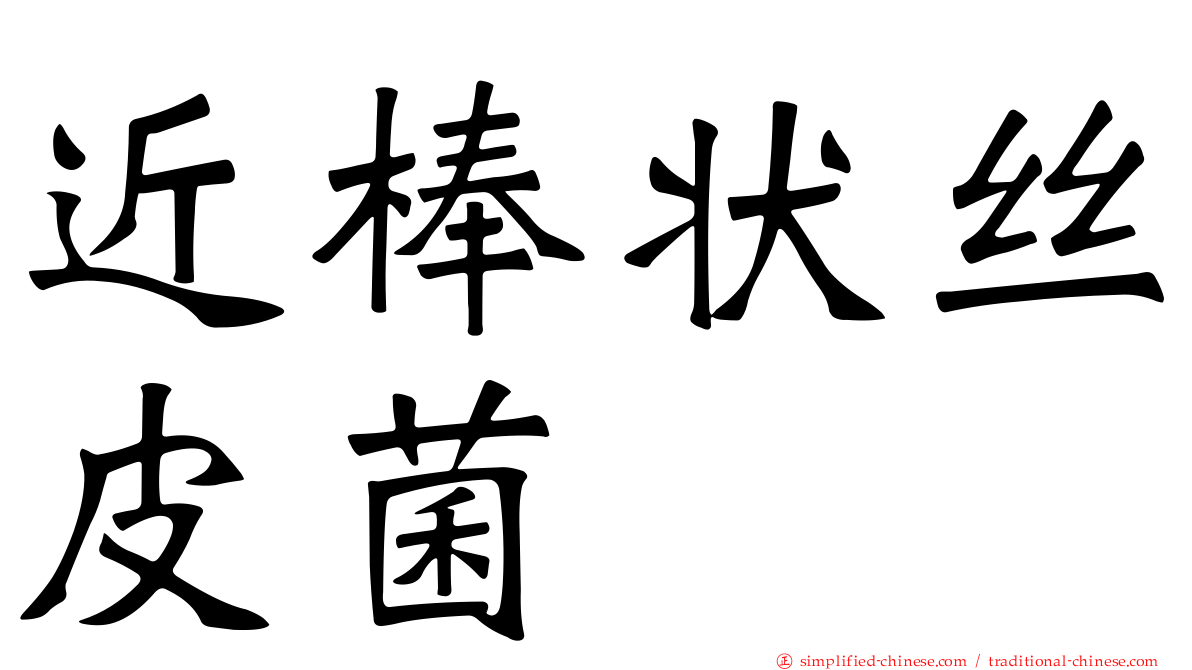 近棒状丝皮菌