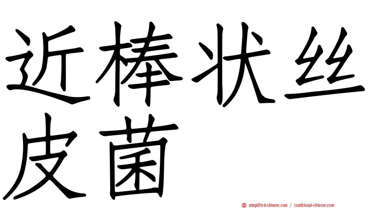 近棒状丝皮菌