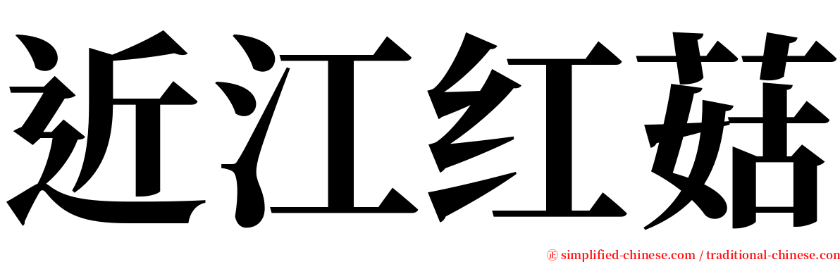 近江红菇 serif font