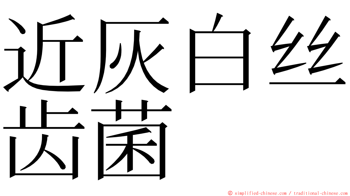 近灰白丝齿菌 ming font