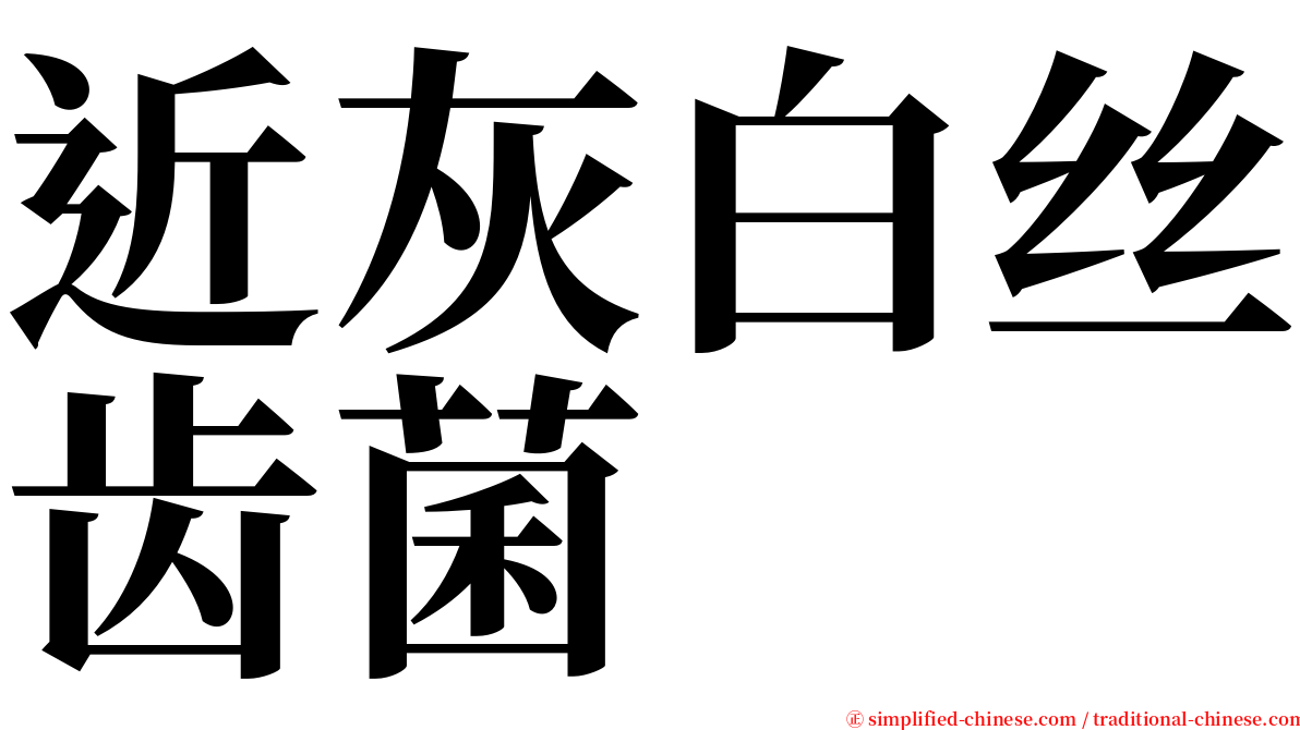 近灰白丝齿菌 serif font