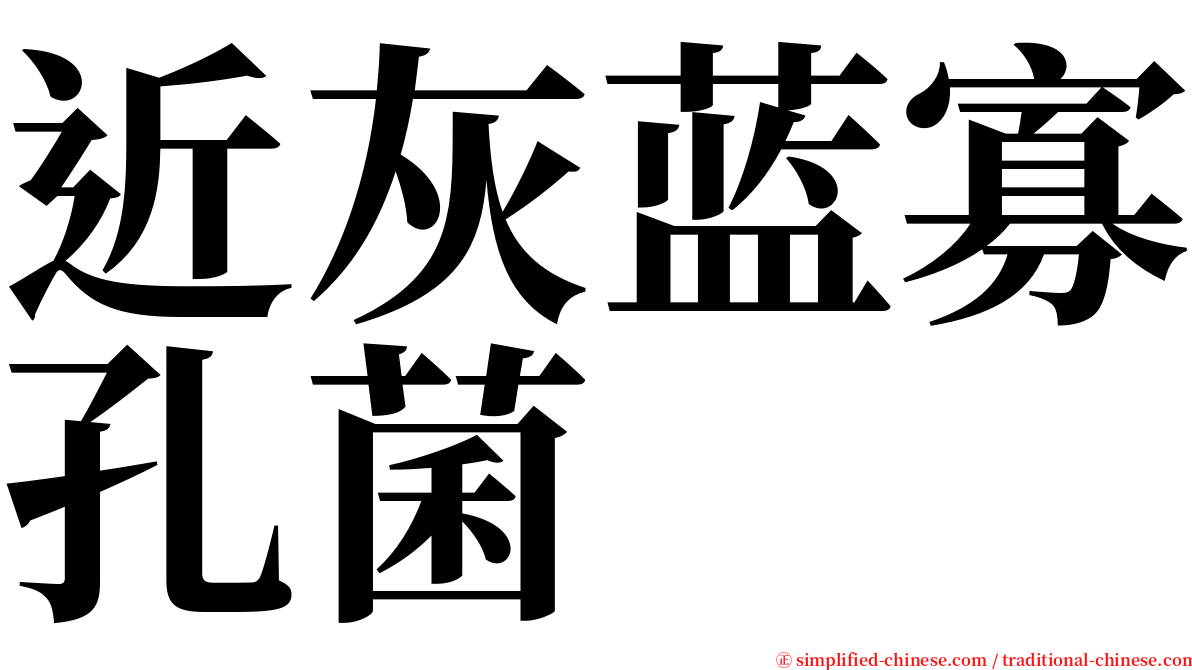 近灰蓝寡孔菌 serif font