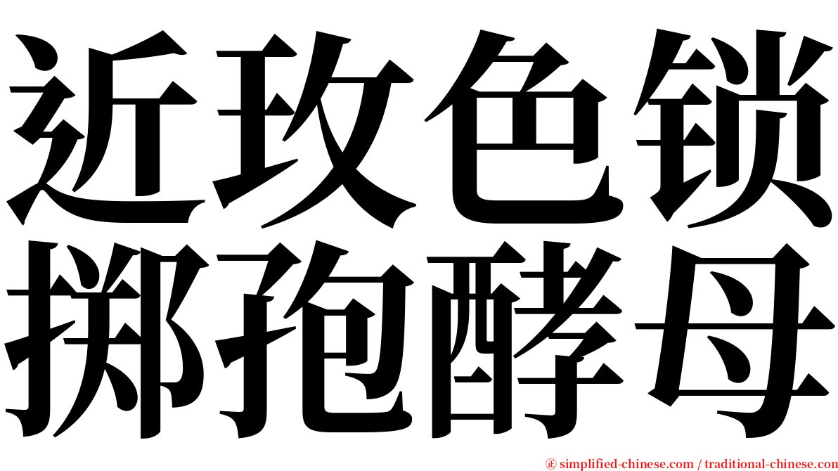 近玫色锁掷孢酵母 serif font