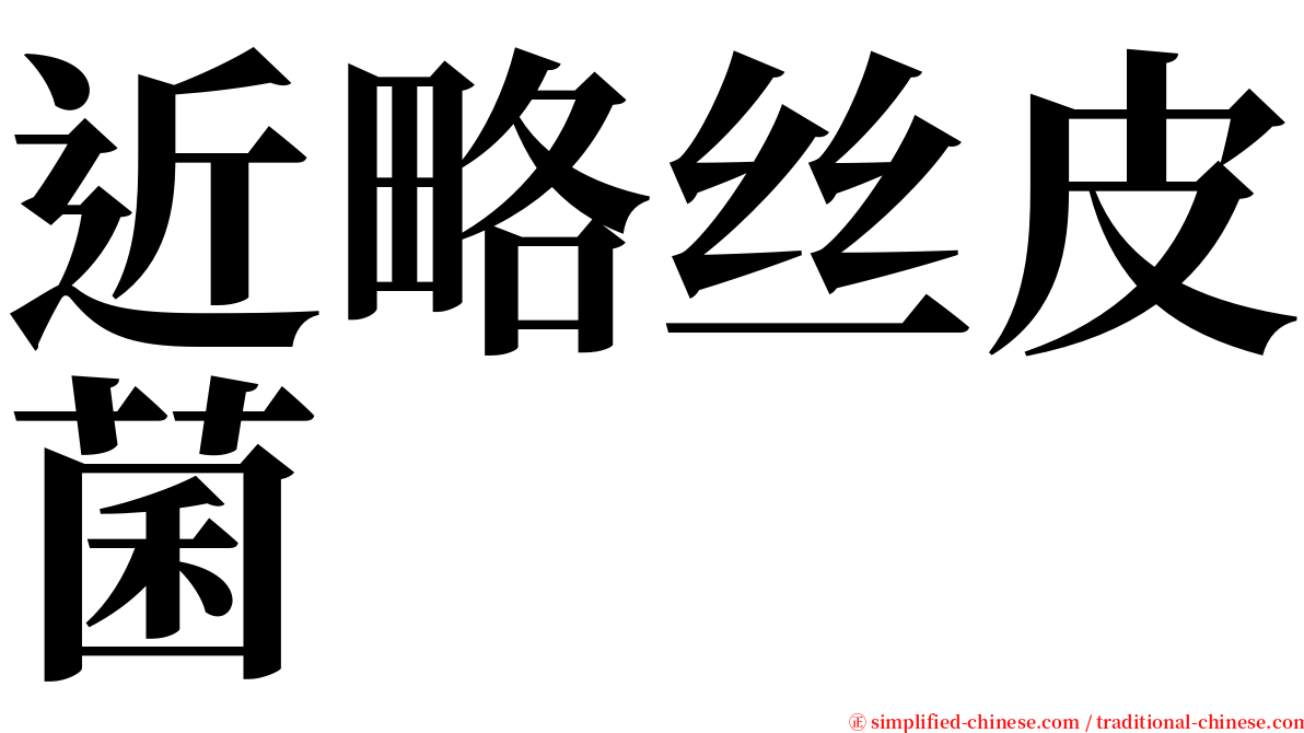 近略丝皮菌 serif font