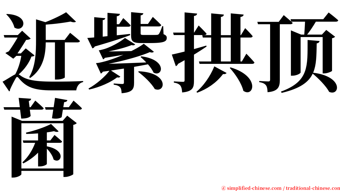 近紫拱顶菌 serif font