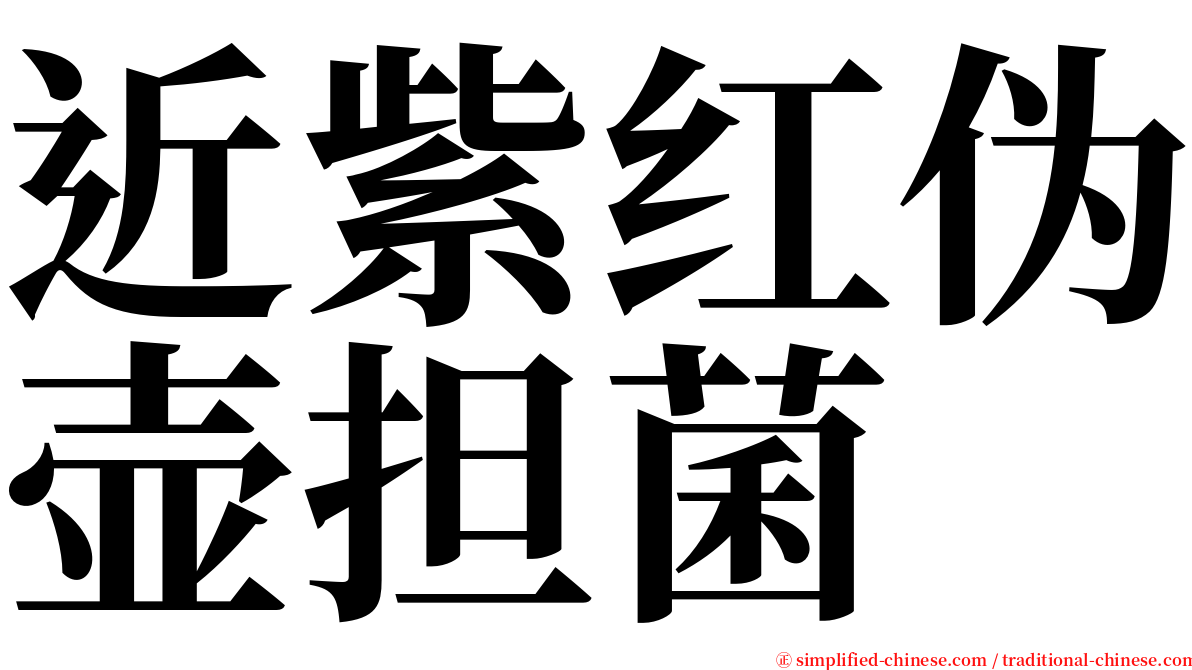 近紫红伪壶担菌 serif font