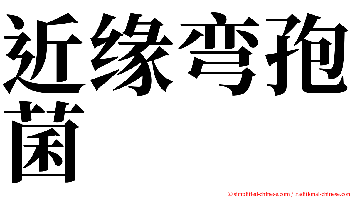 近缘弯孢菌 serif font