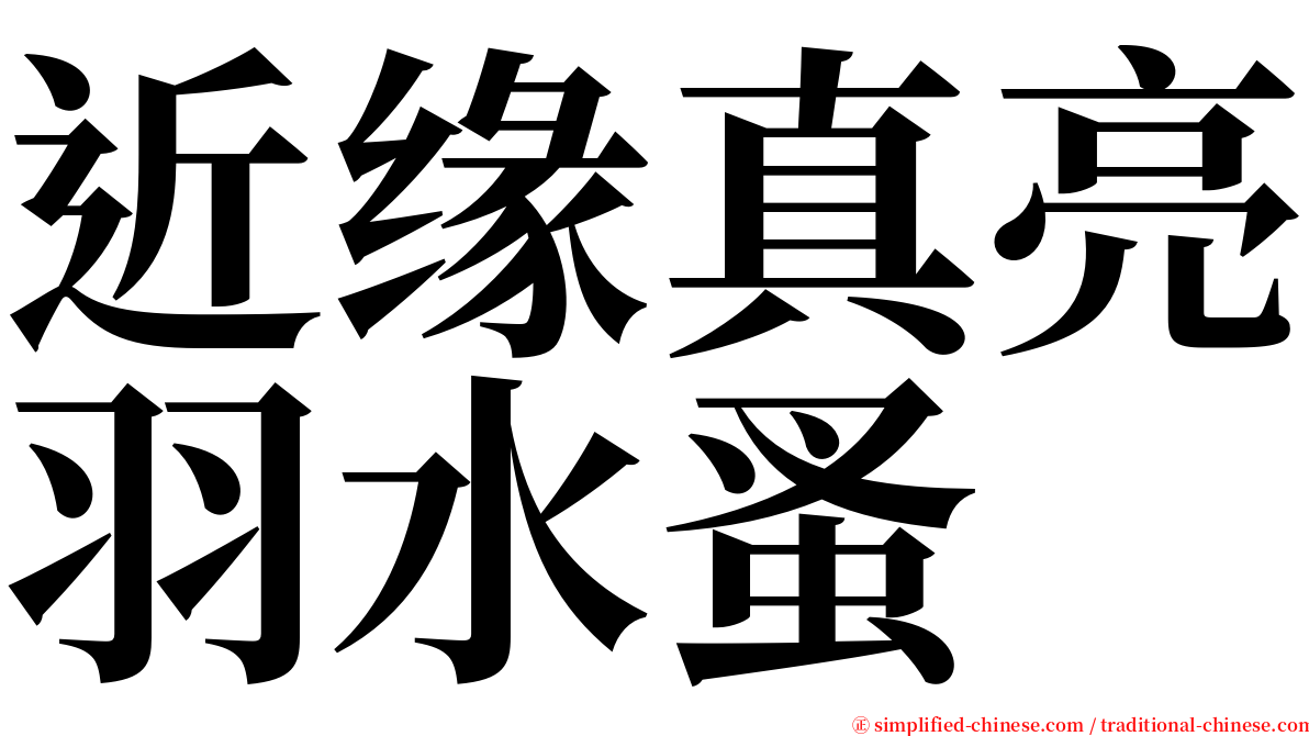 近缘真亮羽水蚤 serif font