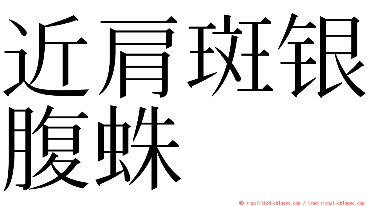 近肩斑银腹蛛 ming font