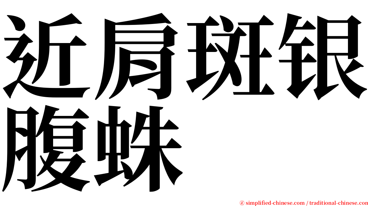 近肩斑银腹蛛 serif font