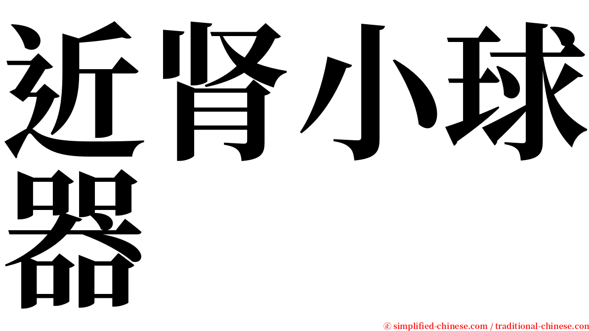 近肾小球器 serif font