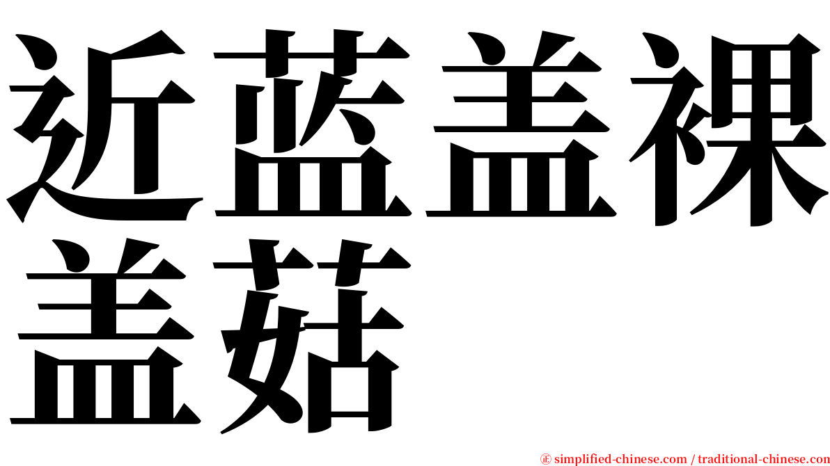 近蓝盖裸盖菇 serif font