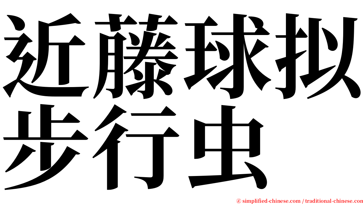 近藤球拟步行虫 serif font