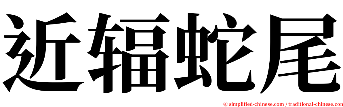 近辐蛇尾 serif font