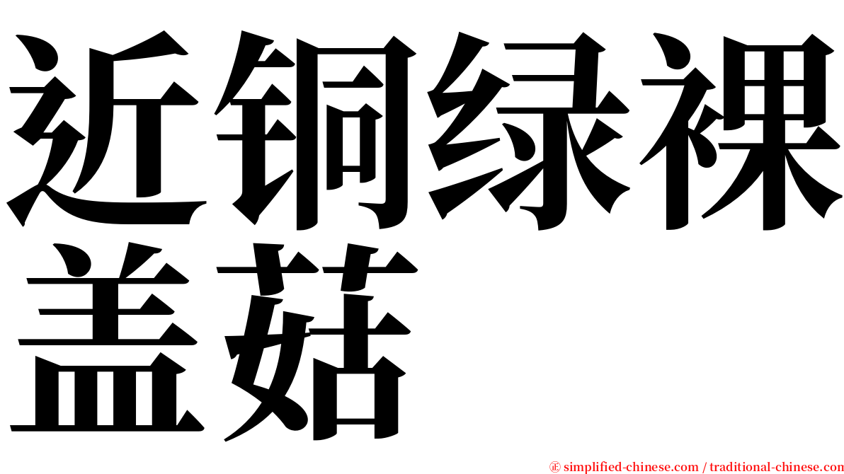 近铜绿裸盖菇 serif font