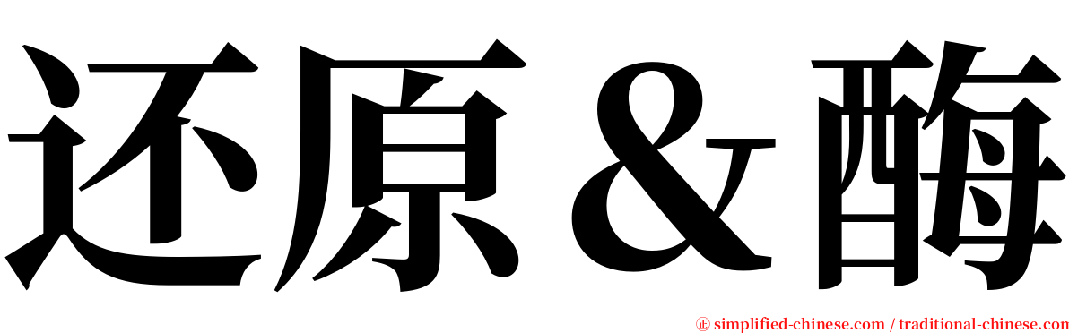 还原＆酶 serif font