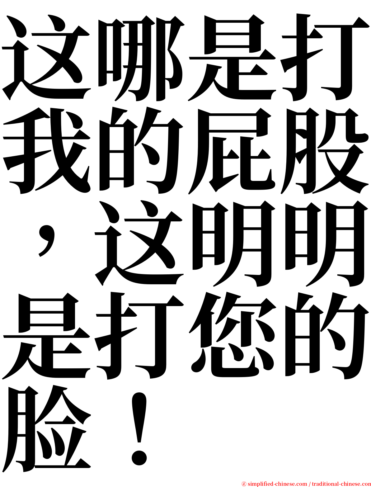 这哪是打我的屁股，这明明是打您的脸！ serif font