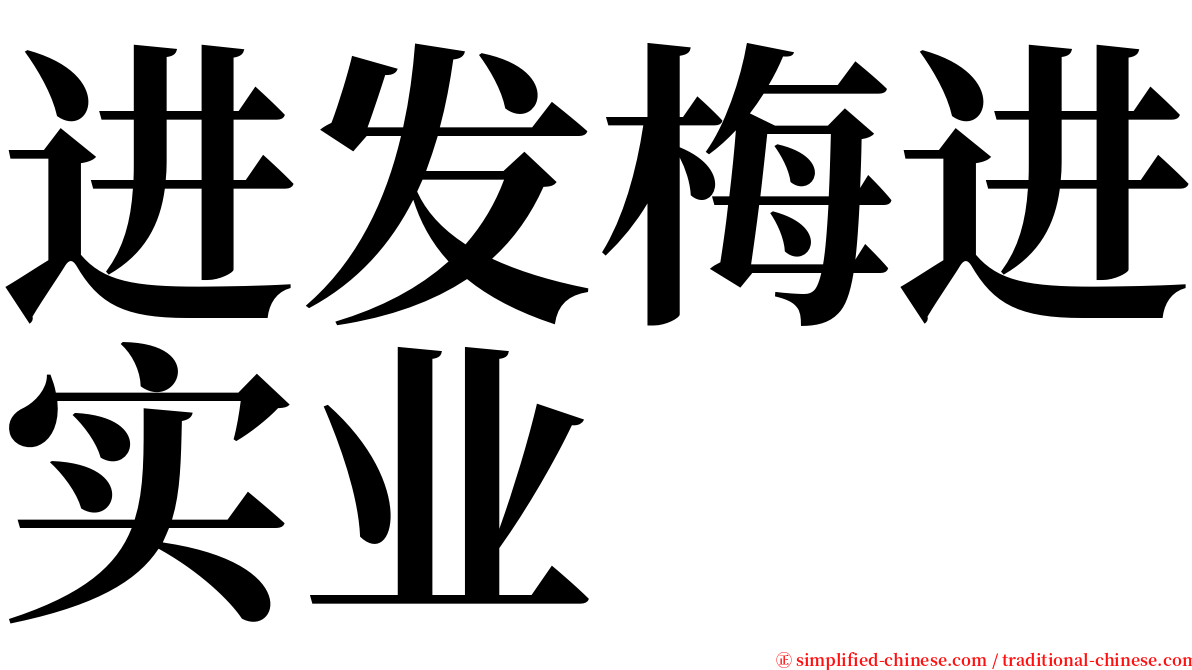 进发梅进实业 serif font