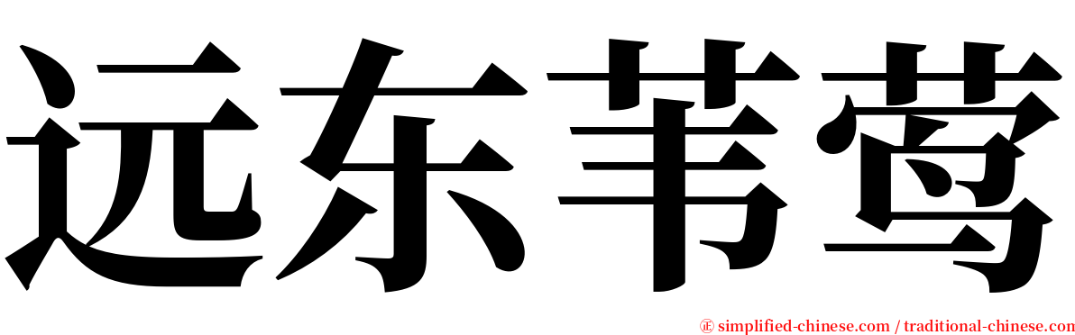 远东苇莺 serif font