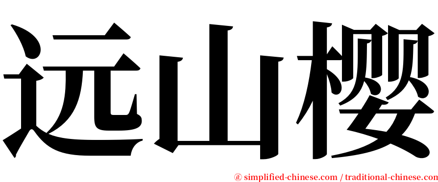 远山樱 serif font