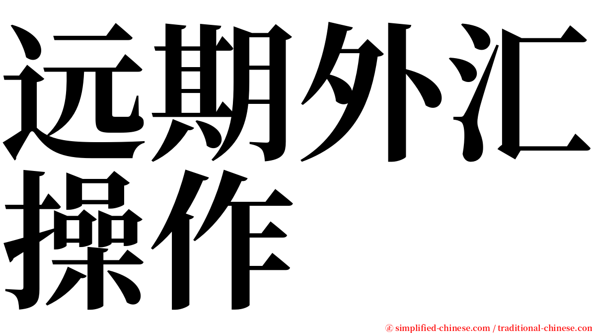 远期外汇操作 serif font