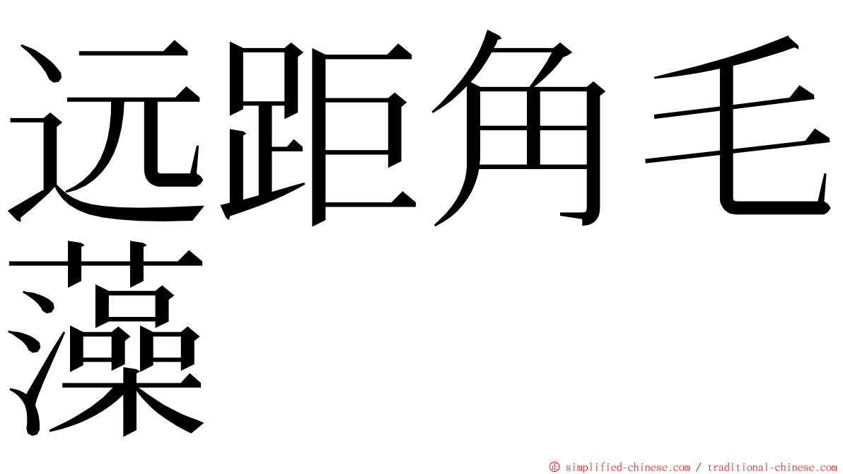 远距角毛藻 ming font