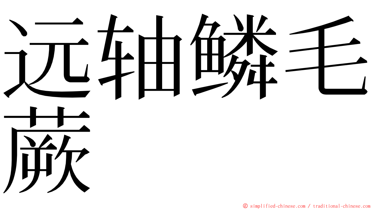 远轴鳞毛蕨 ming font