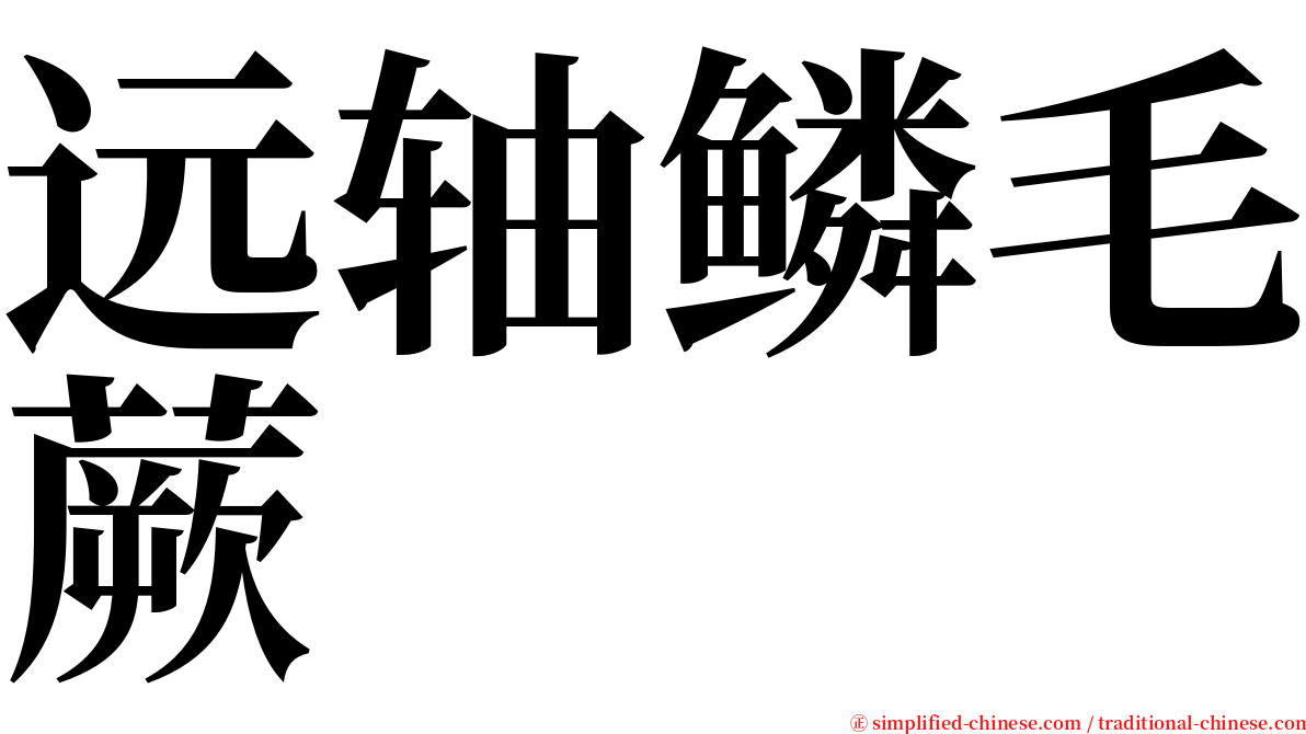 远轴鳞毛蕨 serif font