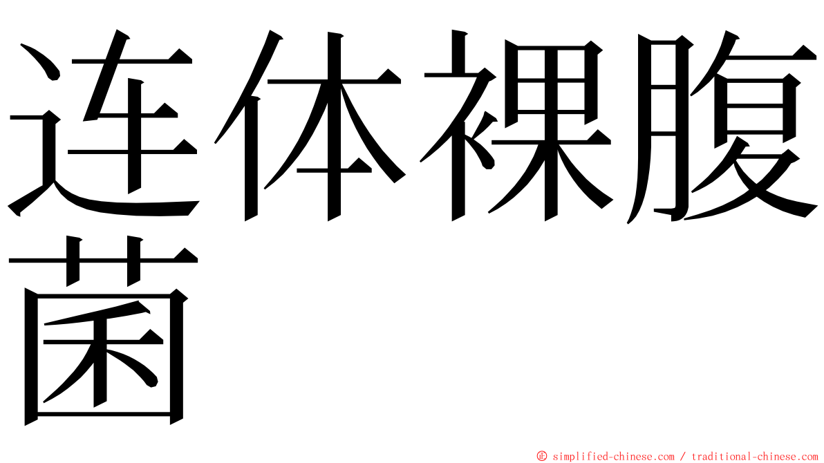 连体裸腹菌 ming font
