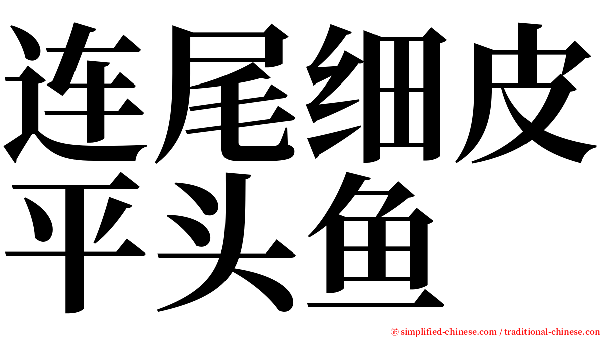 连尾细皮平头鱼 serif font