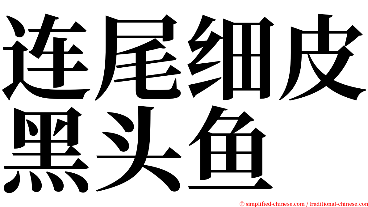 连尾细皮黑头鱼 serif font