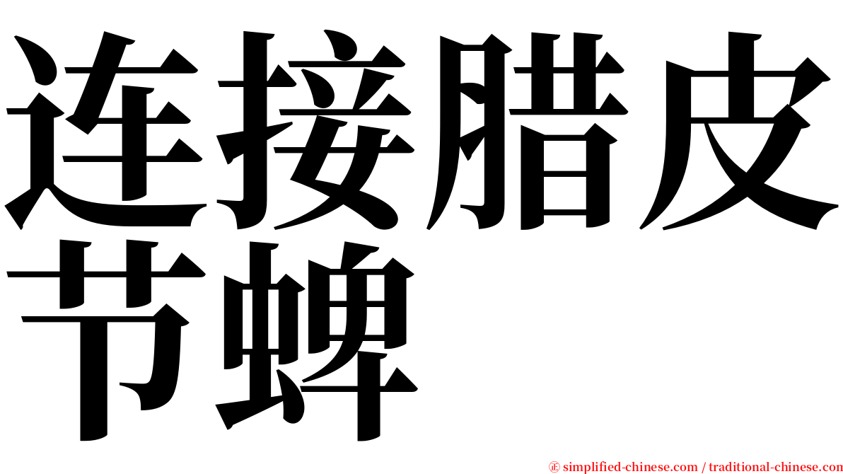 连接腊皮节蜱 serif font