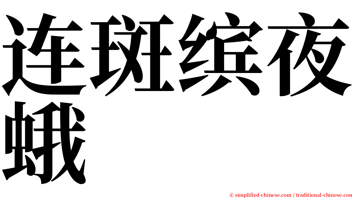 连斑缤夜蛾 serif font