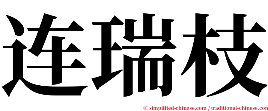 连瑞枝 serif font