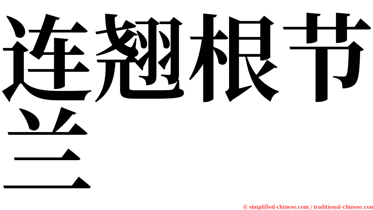 连翘根节兰 serif font