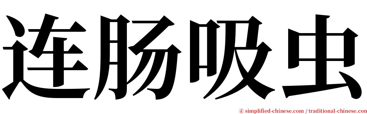 连肠吸虫 serif font