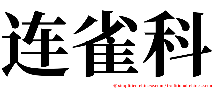 连雀科 serif font