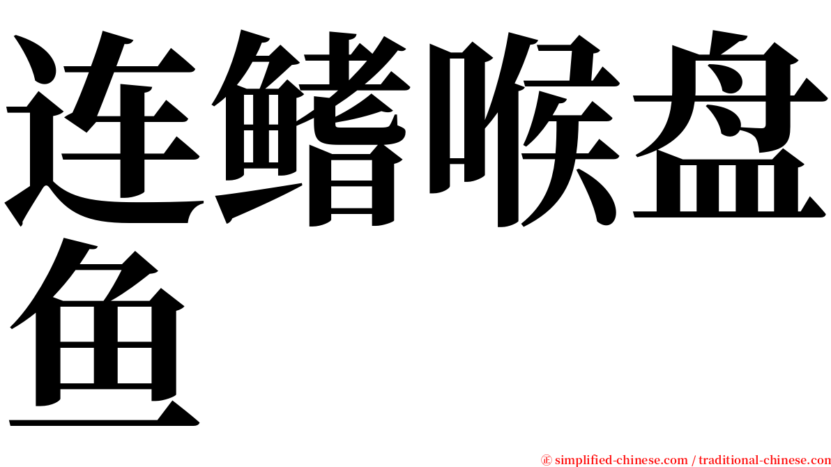 连鳍喉盘鱼 serif font