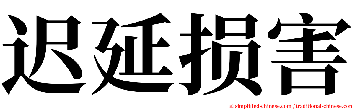 迟延损害 serif font