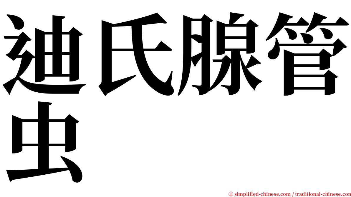 迪氏腺管虫 serif font