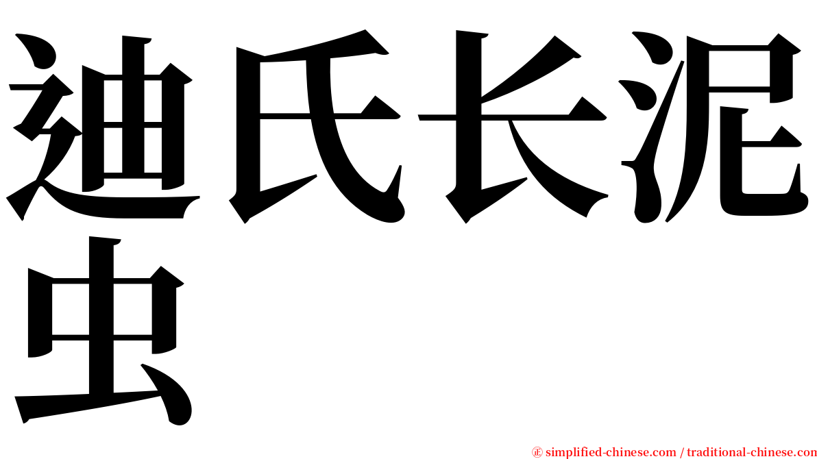 迪氏长泥虫 serif font