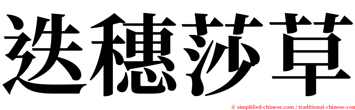 迭穗莎草 serif font