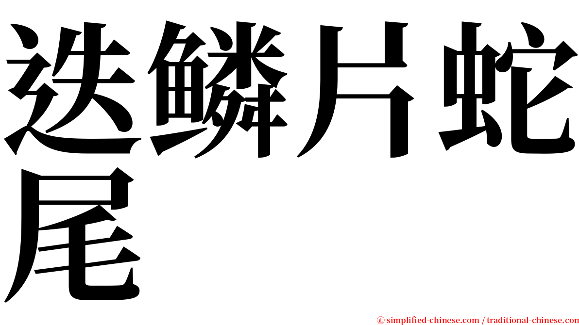 迭鳞片蛇尾 serif font