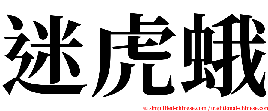 迷虎蛾 serif font