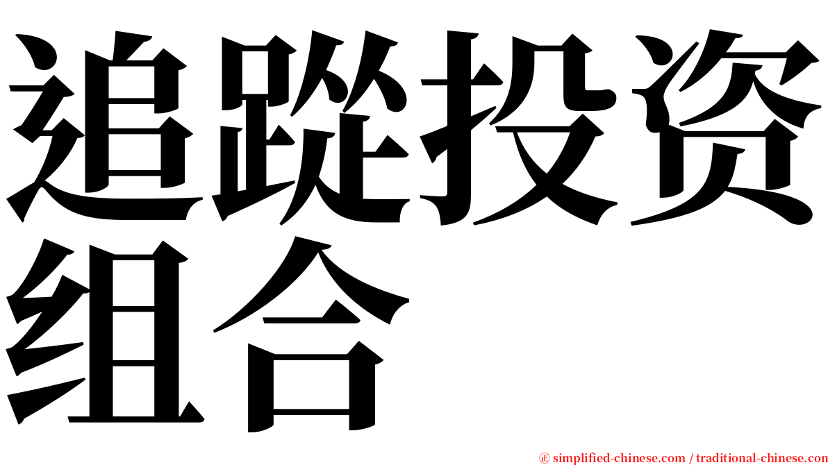 追踨投资组合 serif font